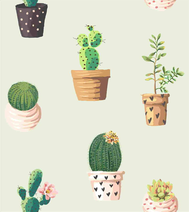A Wallpaper With Cactus Plants In Pots Wallpaper