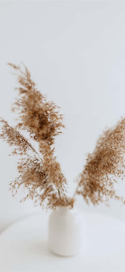 A Warm Pattern Of Brown And White Showcasing Natural Elegance Wallpaper