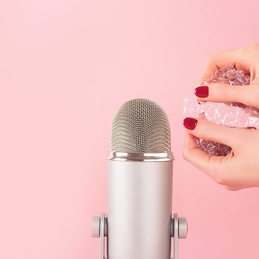 A Woman Is Holding A Microphone And A Piece Of Plastic Wallpaper