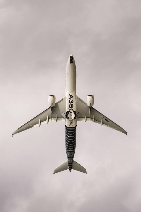 A350 White Airplane Android Wallpaper