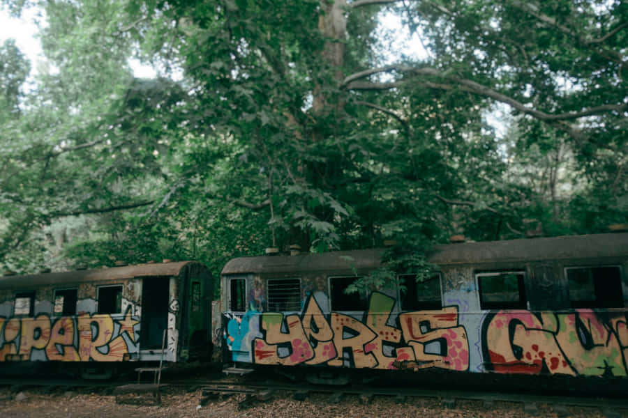 Abandoned Graffiti Train Cars Wallpaper