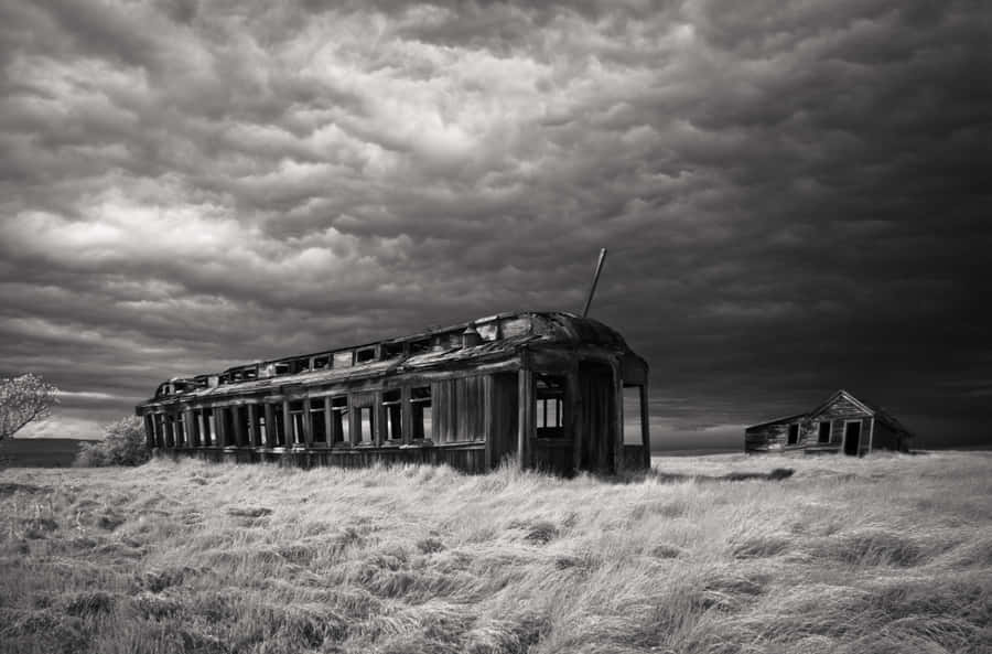 Abandoned Train Carin Field Wallpaper