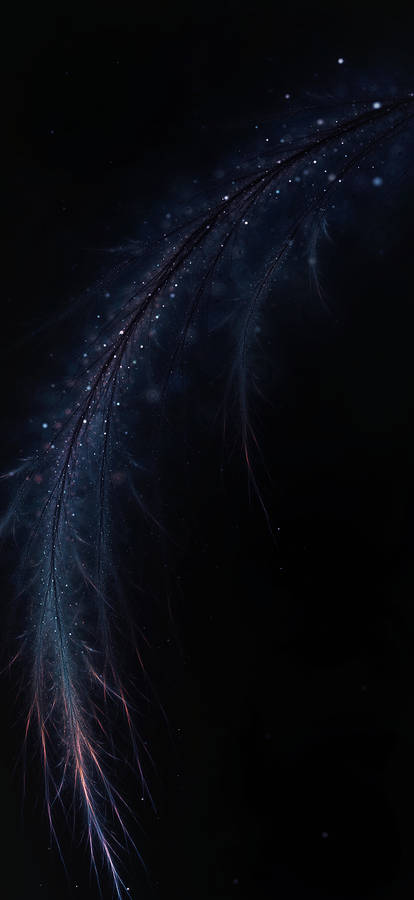 Abstract Feather Full Hd Phone Wallpaper