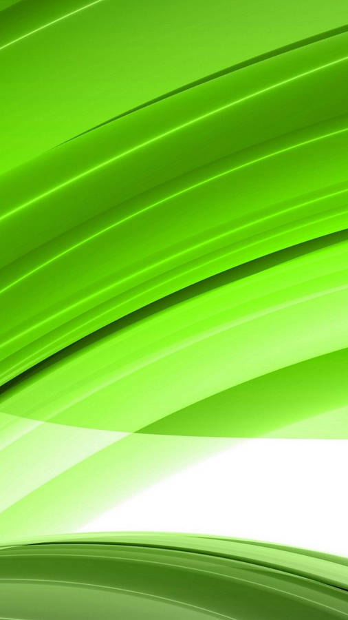 Abstract Light Green Lines Wallpaper