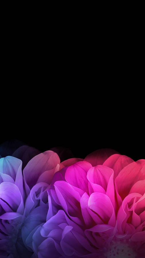 Abstract Petals Dark Purple And Black Wallpaper