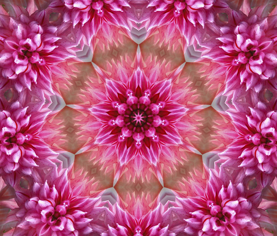 Abstract Pink Color Floral Pattern Wallpaper