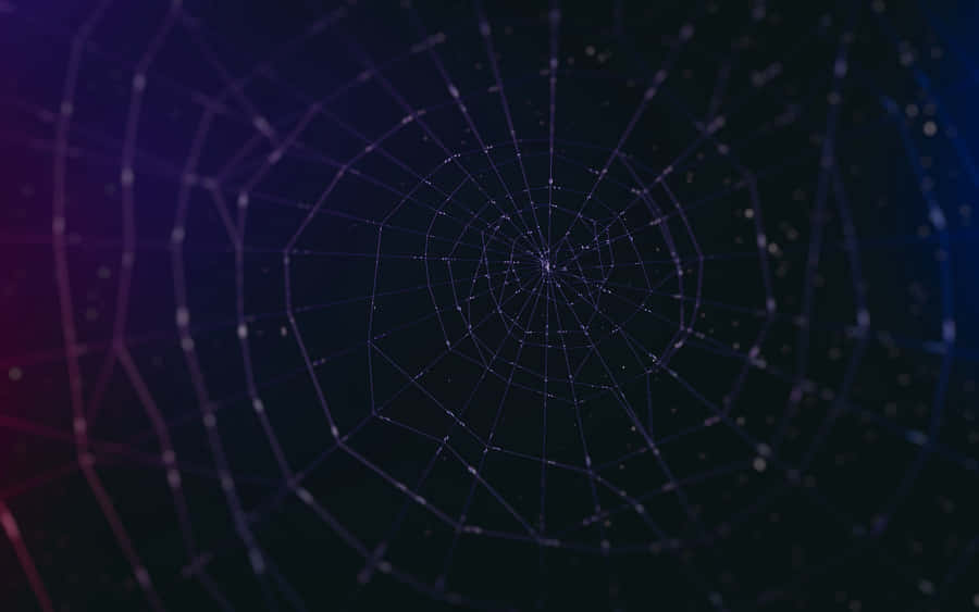 Abstract Spider Web Network Background Wallpaper