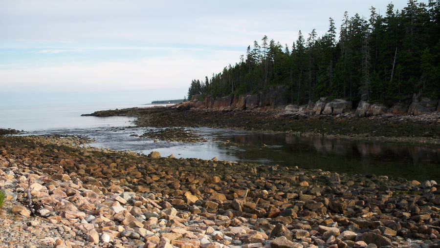 Acadia National Park Bass Harbor Wallpaper