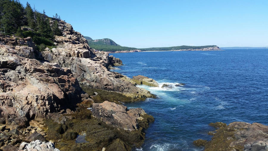 Acadia National Park Coast Wallpaper