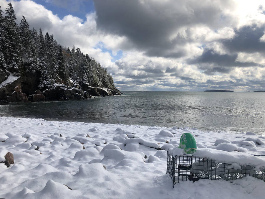 Acadia National Park Little Hunters Beach Wallpaper