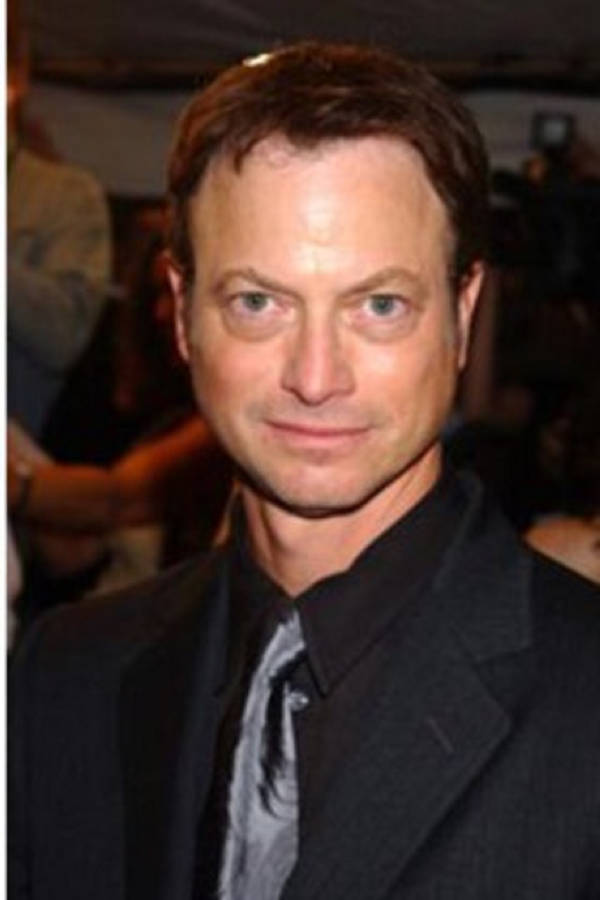 Actor Gary Sinise Sarcastic Face Wallpaper