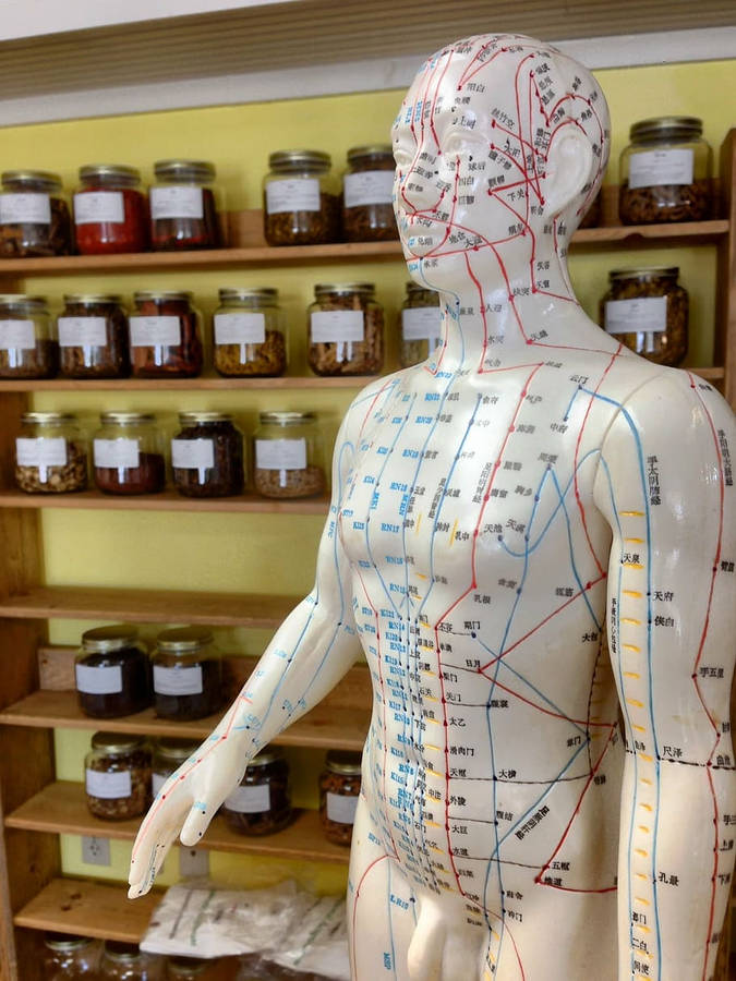 Acupuncturist Acupoints Mannequin Wallpaper