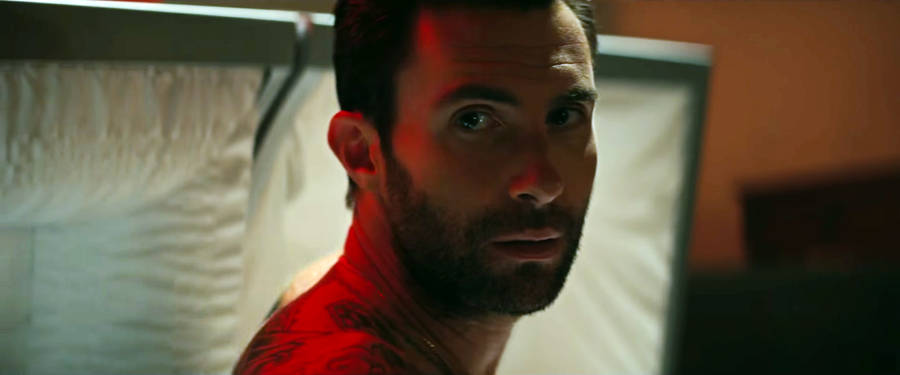 Adam Levine Intense Stare Wallpaper