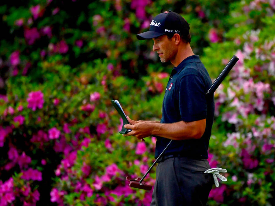 Adam Scott And Flowers Wallpaper