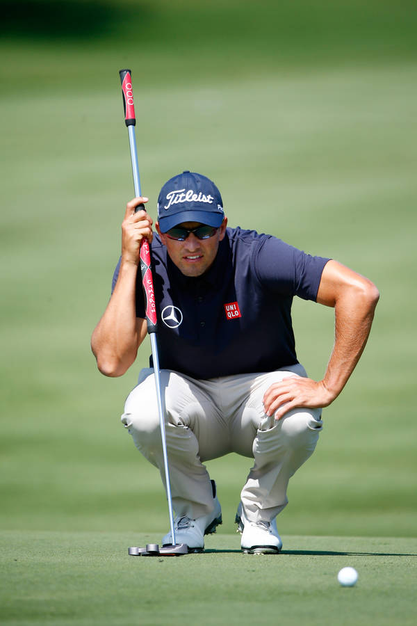 Adam Scott Surveying Golf Line Wallpaper