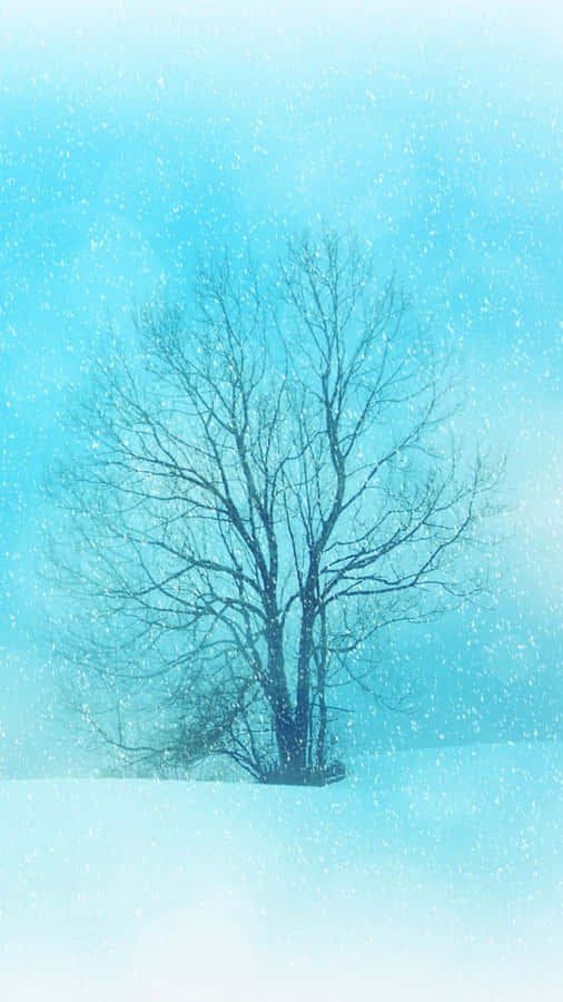 Add Flourish To Your Winter With Beautiful Snowy Landscapes Wallpaper