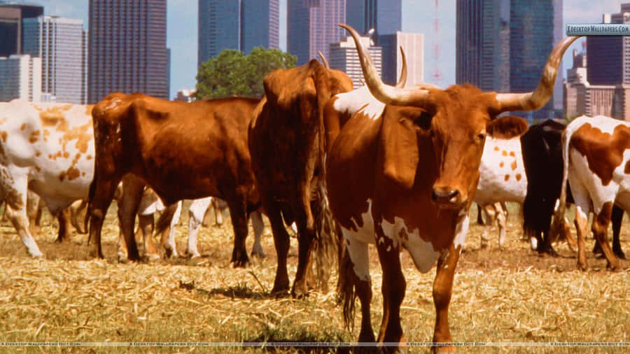 Admire The Stunning Cityscape Of Dallas, Texas Wallpaper
