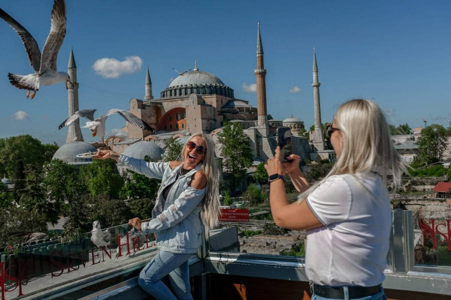 Adorable Flying Birds In Istanbul Wallpaper