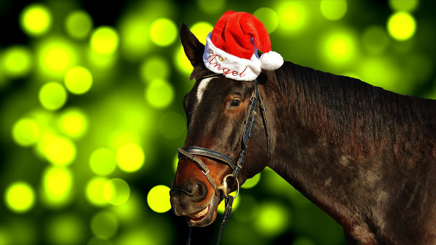 Adorable Horse Wearing Santa Hat For Christmas Wallpaper