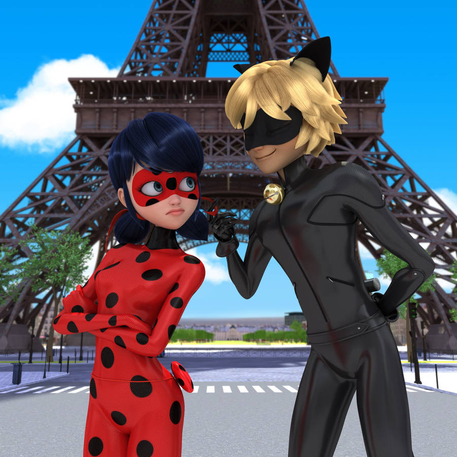 Adrien Agreste Funny Cat Noir Wallpaper