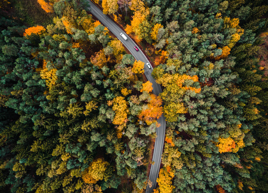 Aerial Forest Road Shot Best Autumn Wallpaper