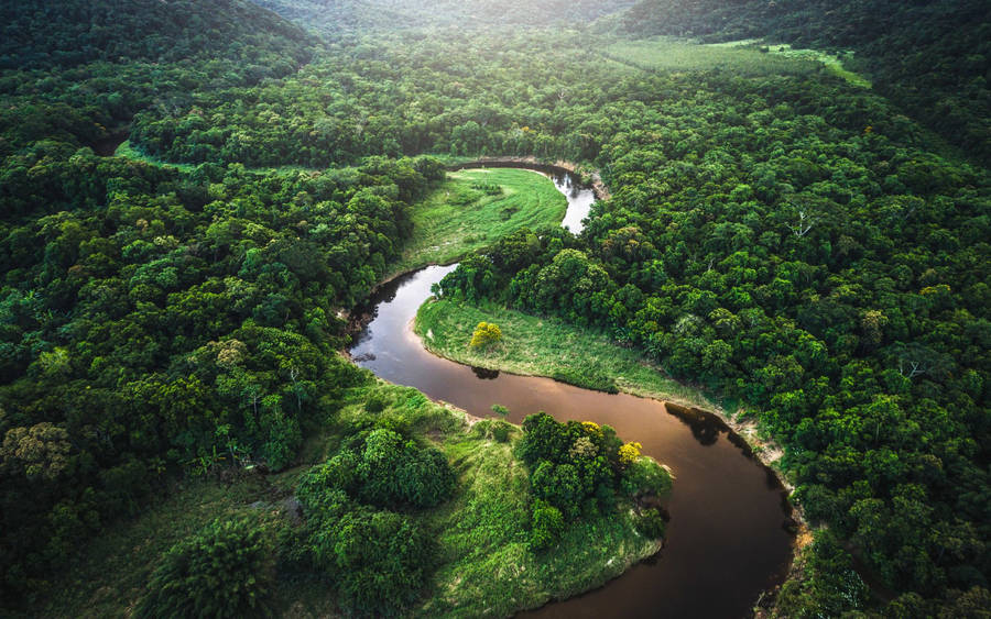 Aerial View Of Amazonas River Wallpaper