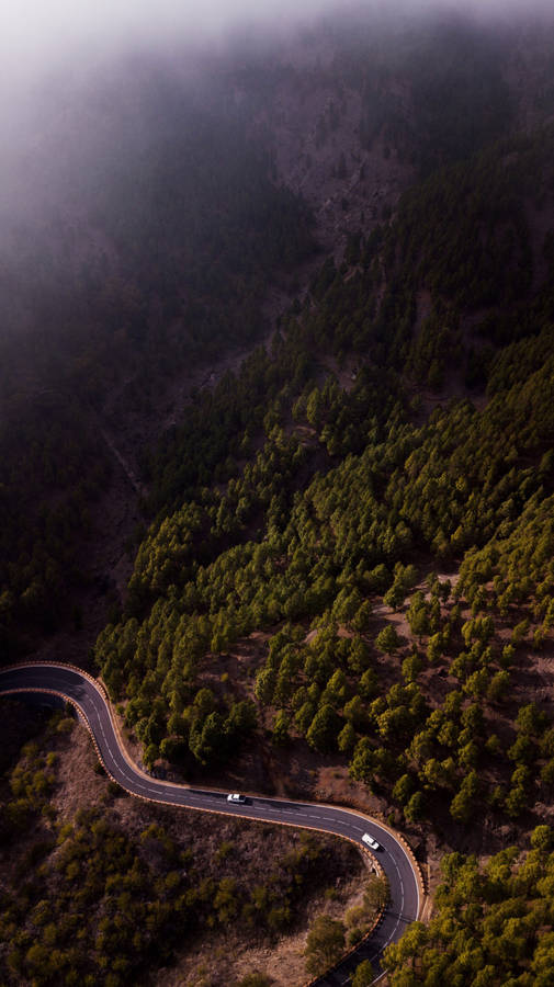 Aerial View Of Foggy Forest Wallpaper