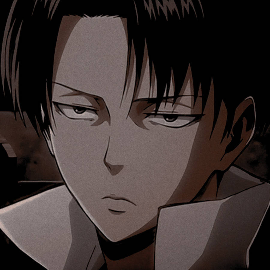 Aesthetic Anime Boy Icon Levi Ackerman Wallpaper