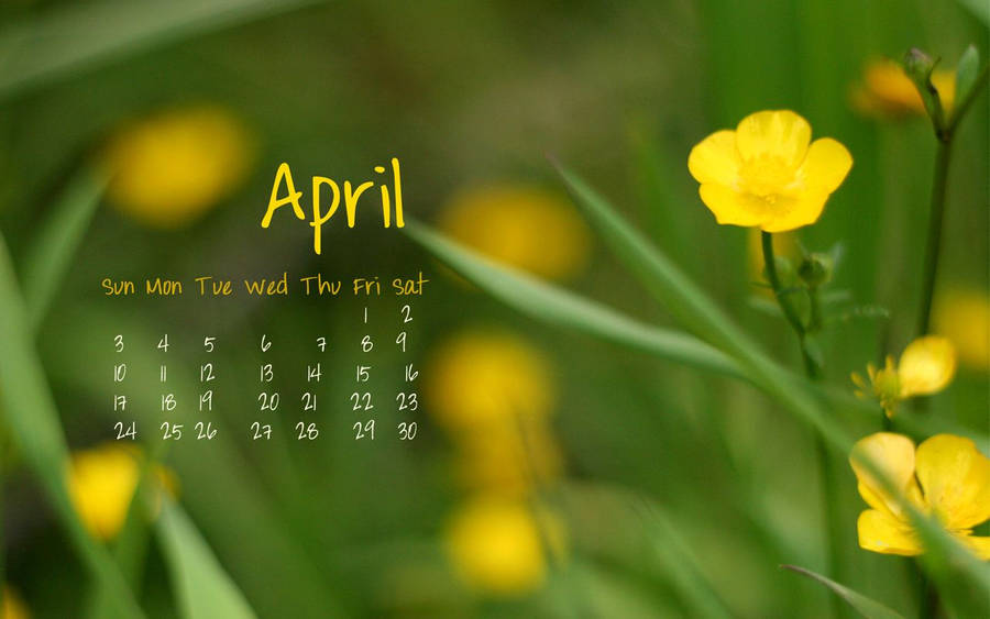 Aesthetic April Wallpaper