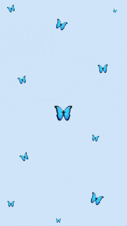 Aesthetic Baby Blue Butterflies Wallpaper