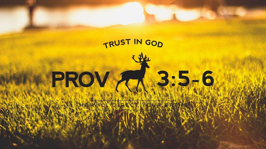 Aesthetic Bible Verse Proverbs 3:5 Wallpaper