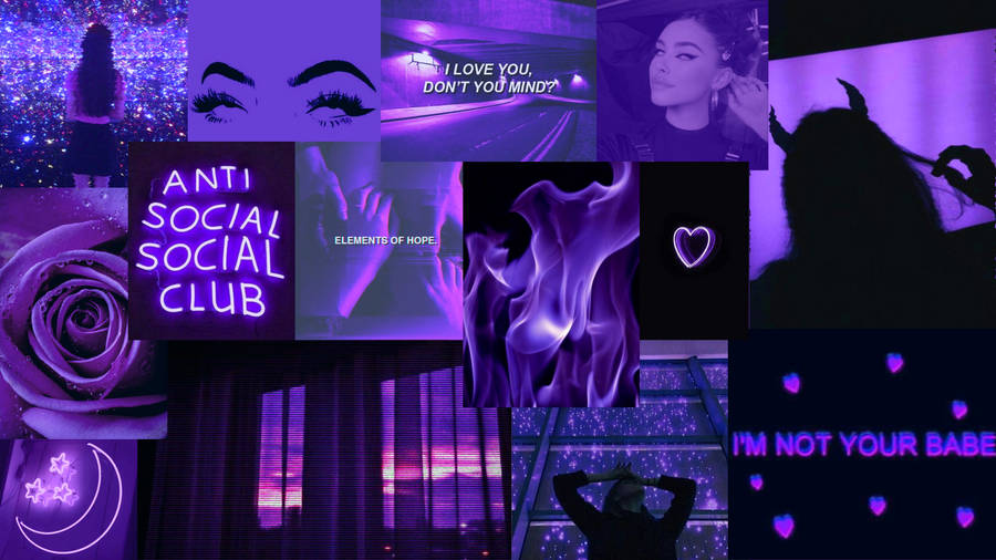 Aesthetic Black And Purple Rose Collage Wallpaper