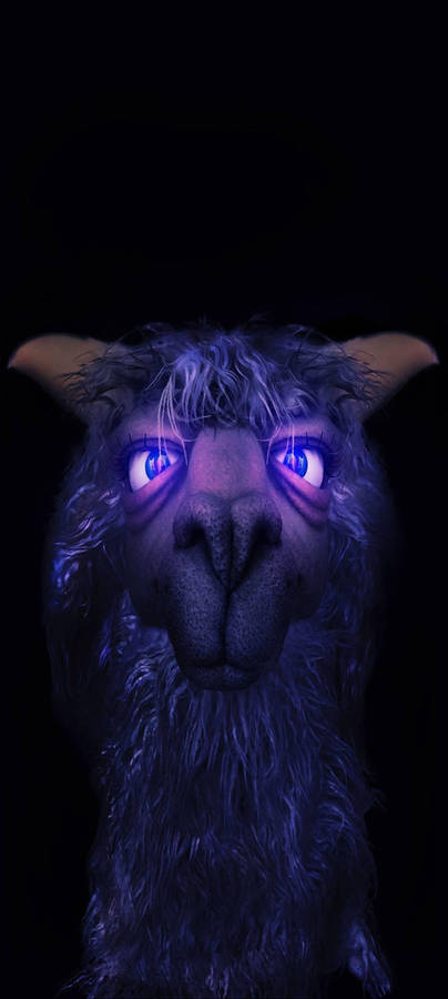 Aesthetic Boy Violet Llama Wallpaper