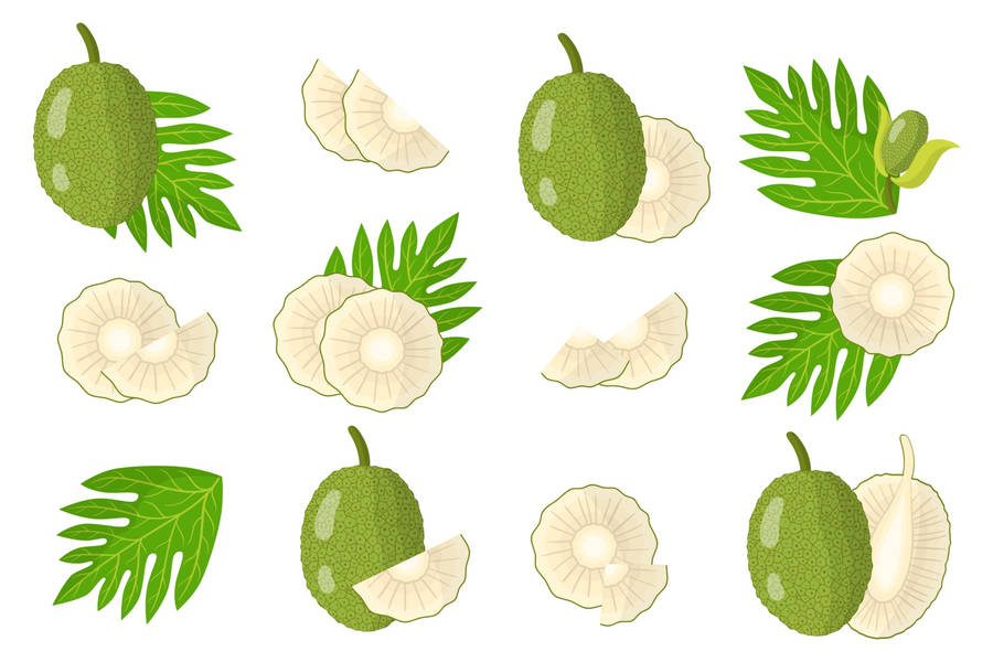 Aesthetic Breadfruit Poster Wallpaper