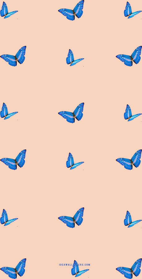 Aesthetic Butterfly Design For Iphone Wallpaper