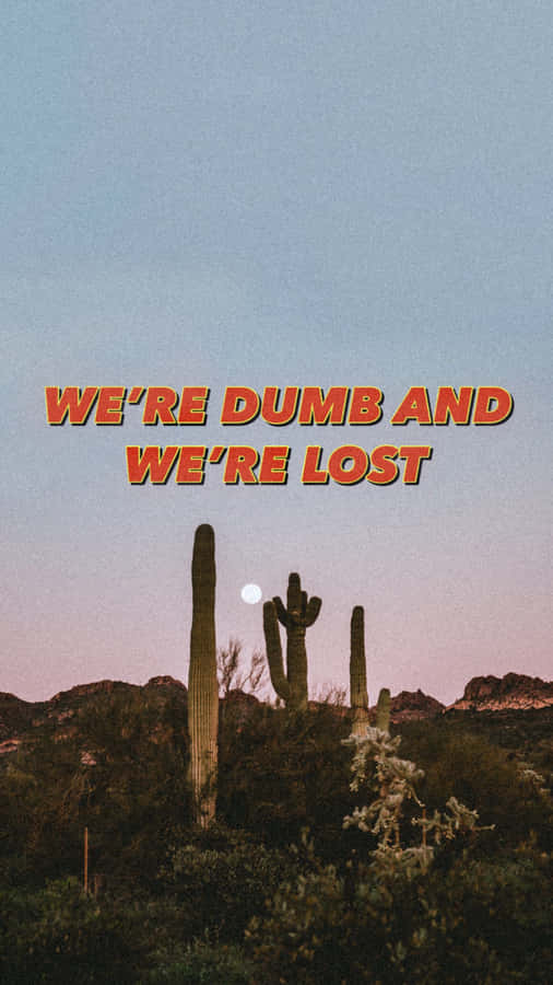 Aesthetic Cactus We're Dumb And We're Lost Wallpaper