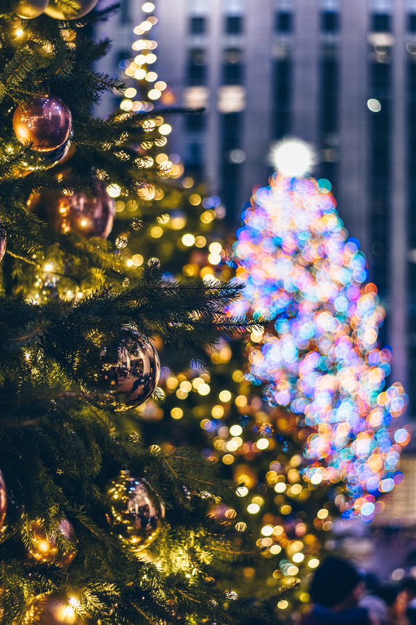 Aesthetic Christmas Tree Wallpaper