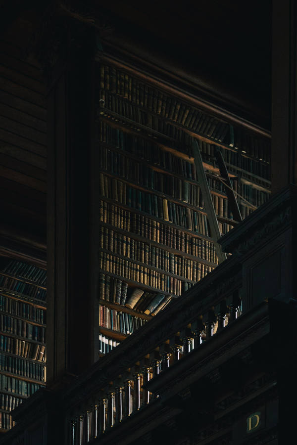 Aesthetic Dark Library Wallpaper