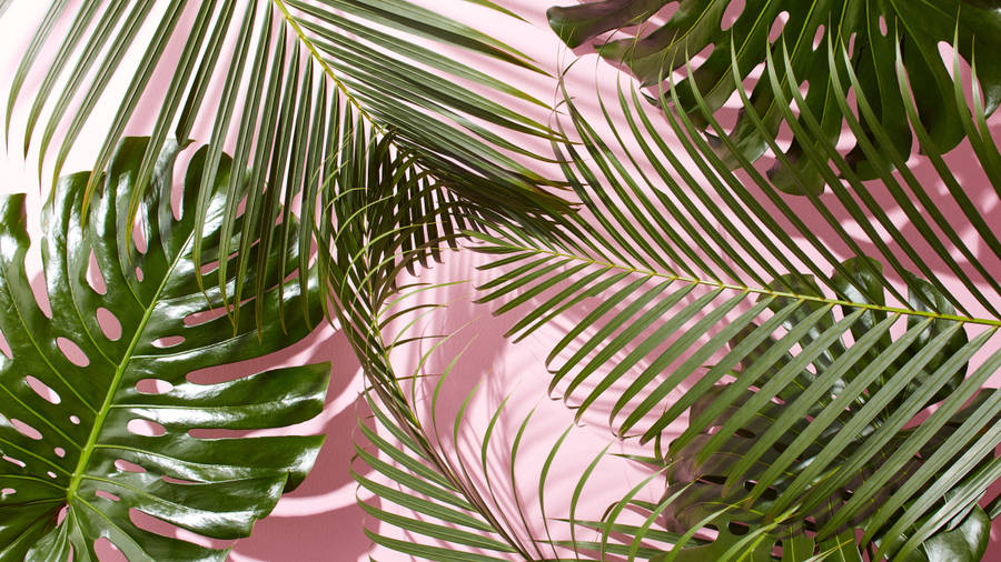 Aesthetic Desktop Foliage Wallpaper