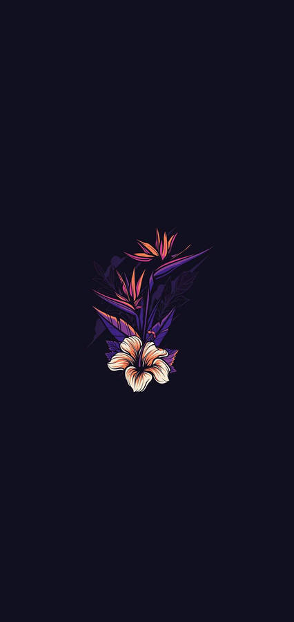 Aesthetic Flower On Black Hd Phone Wallpaper