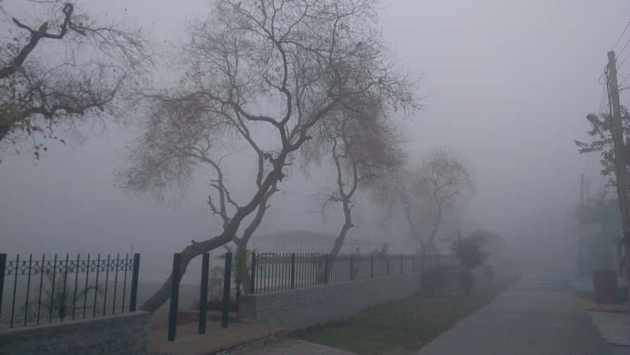 Aesthetic Grunge Desktop Foggy Street Wallpaper