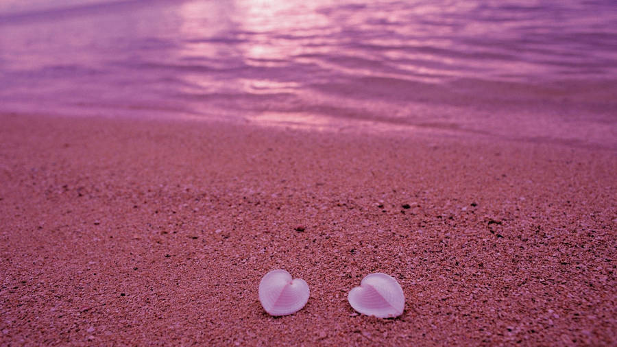 Aesthetic Heart Shells At The Beach Wallpaper