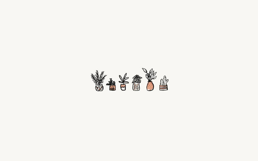 Aesthetic Minimalist Flower Pots Wallpaper