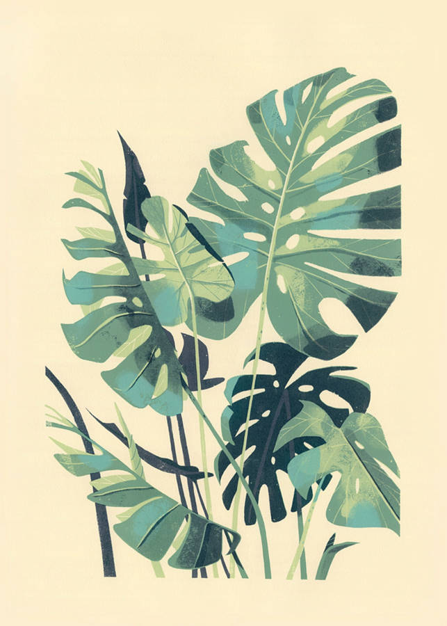 Aesthetic Monstera Deliciosa Art Wallpaper