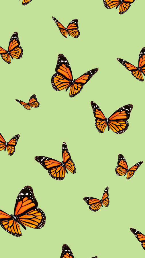 Aesthetic Orange Butterfly On Green Wallpaper