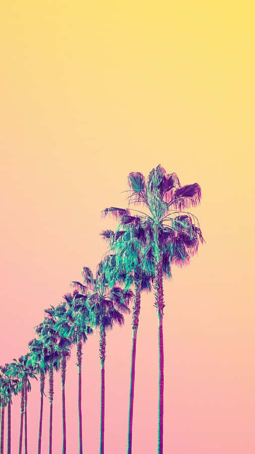 Aesthetic Palm Trees Yellow Sky Wallpaper