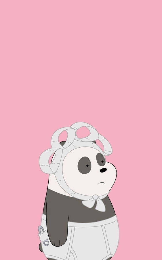 Aesthetic Panda Toilet Paper Diaper Wallpaper