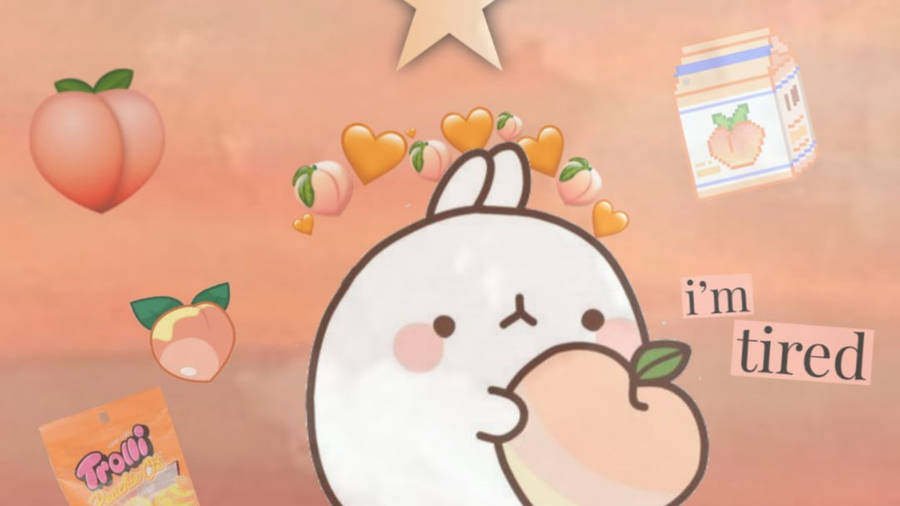 Aesthetic Peach Molang Laptop Wallpaper