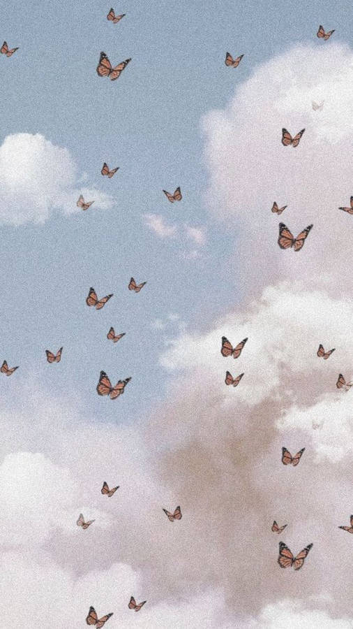 Aesthetic Phone Butterflies Wallpaper