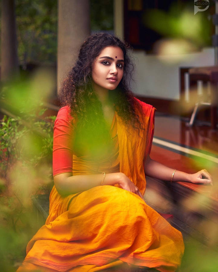 Aesthetic Pictorial Anupama Parameswaran Wallpaper